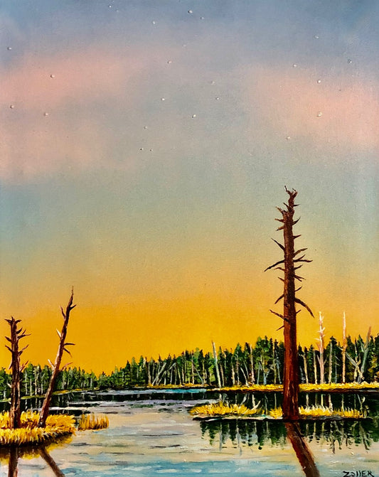 "Dead Trees and Pond Under Dracos: Afternoon, Sunset and in the Dark"