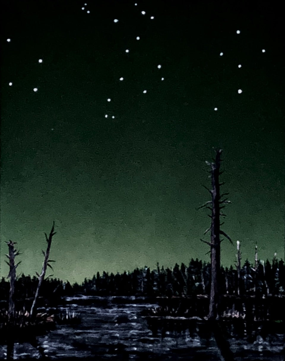 "Dead Trees and Pond Under Dracos: Afternoon, Sunset and in the Dark"
