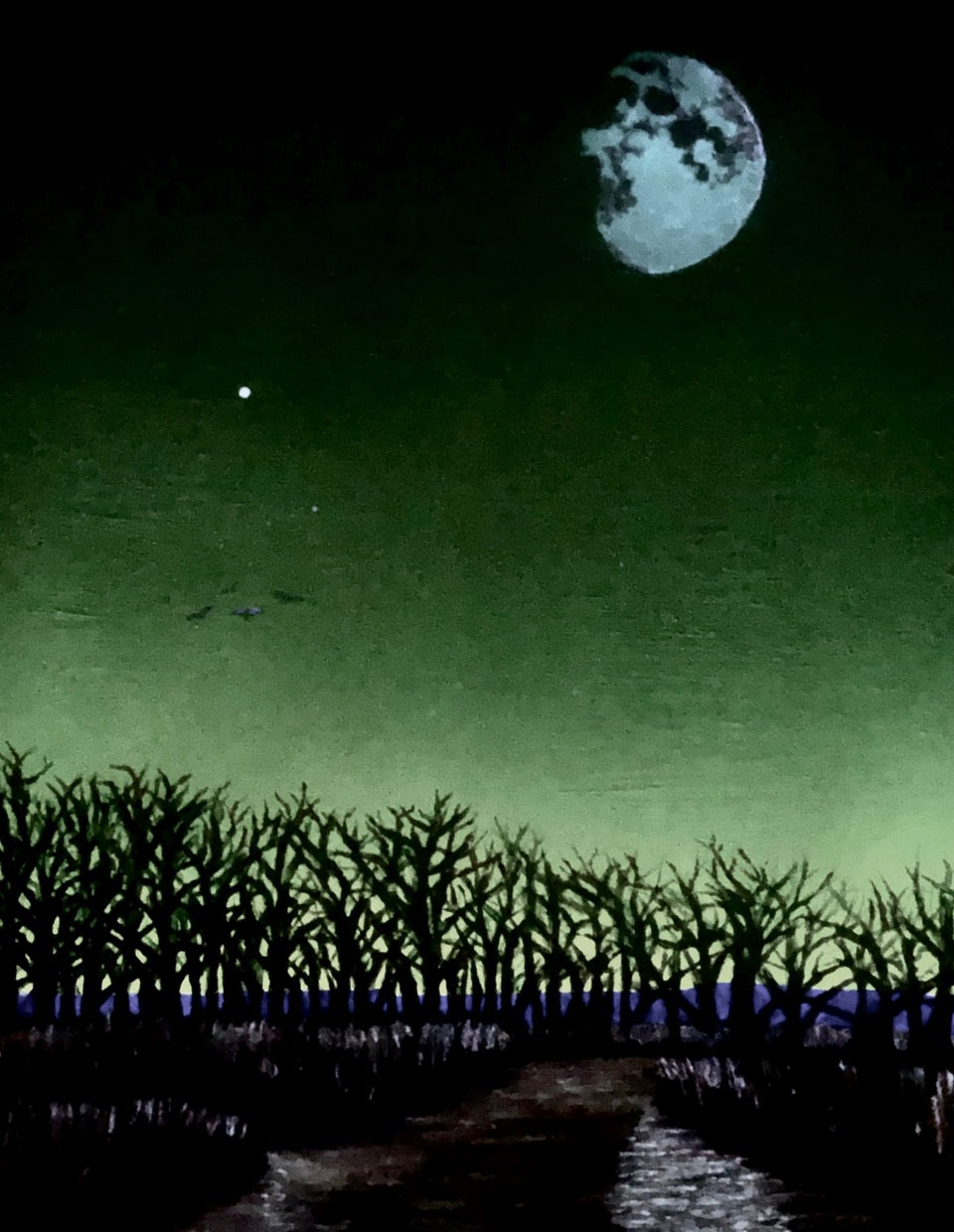 Venus Setting over Marsh and Trees with Moon