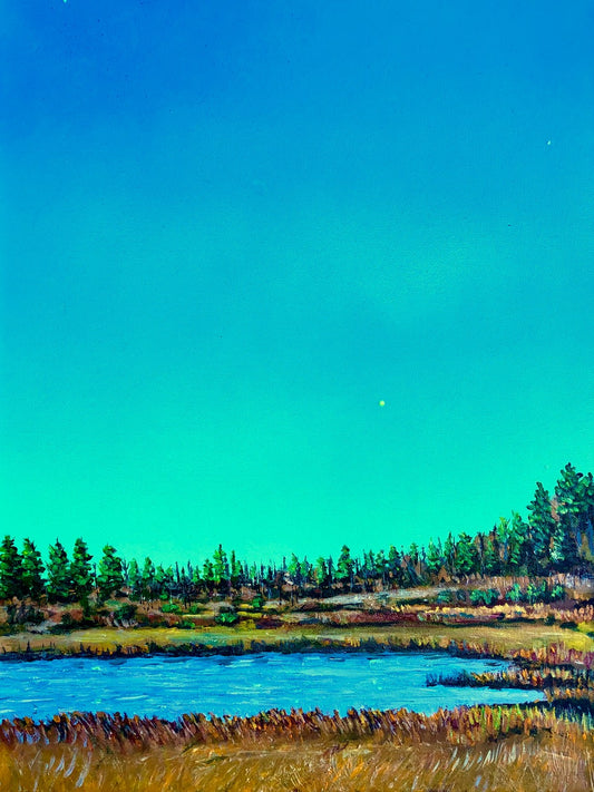 Pond in the Forest – Rocky Mountain Park