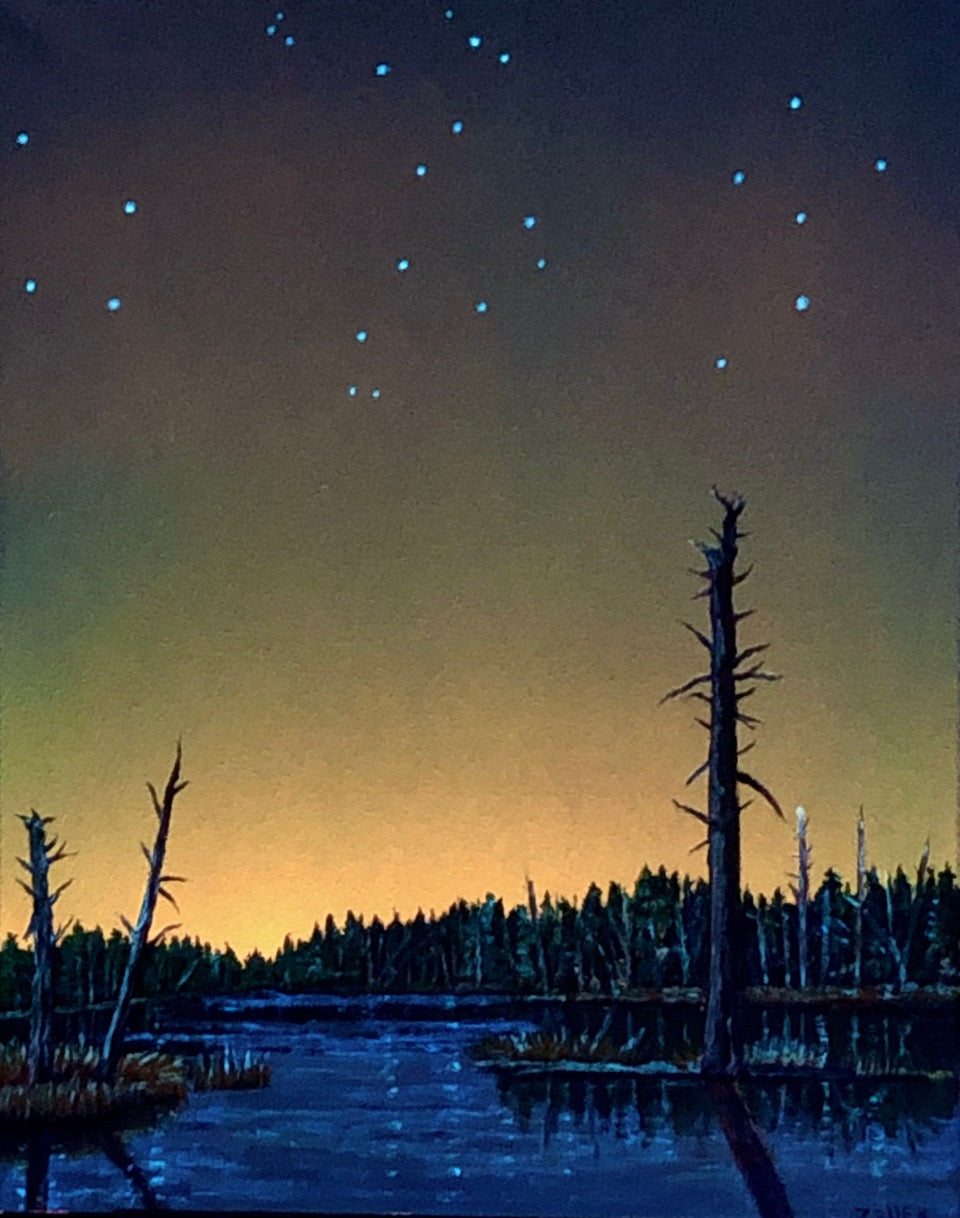 "Dead Trees and Pond Under Dracos: Afternoon, Sunset and in the Dark"